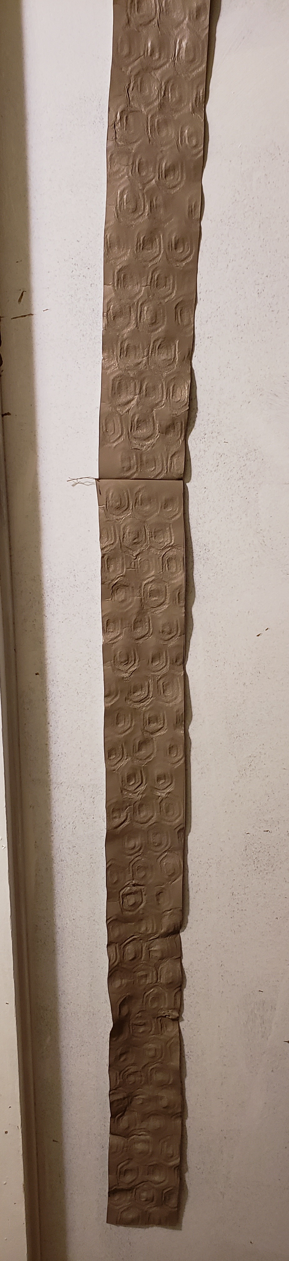 20221016_211639.jpg