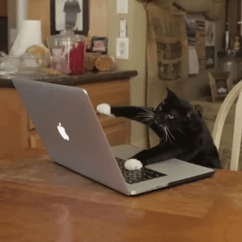 20221205221241.gif