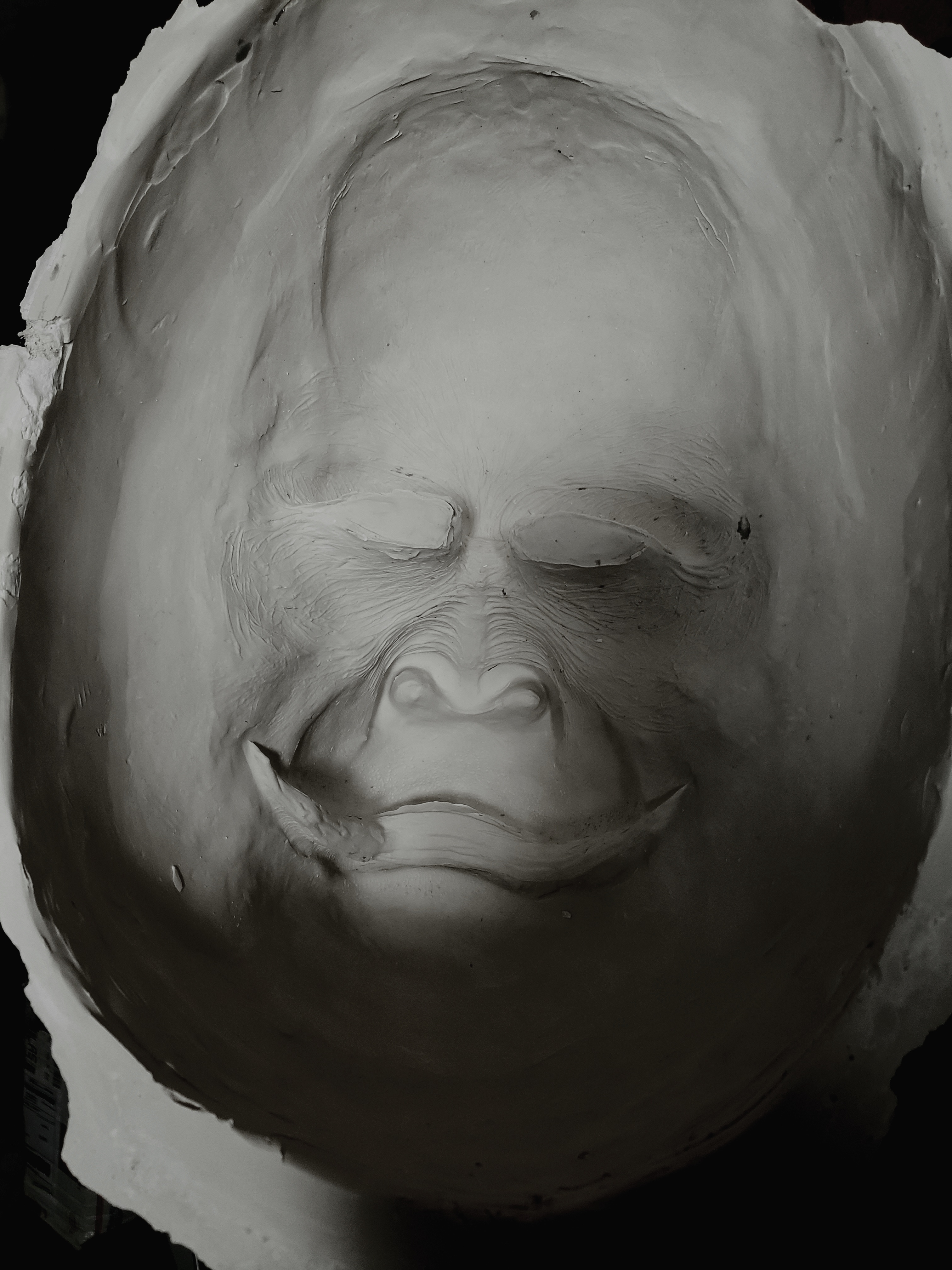 20230825_214209.jpg