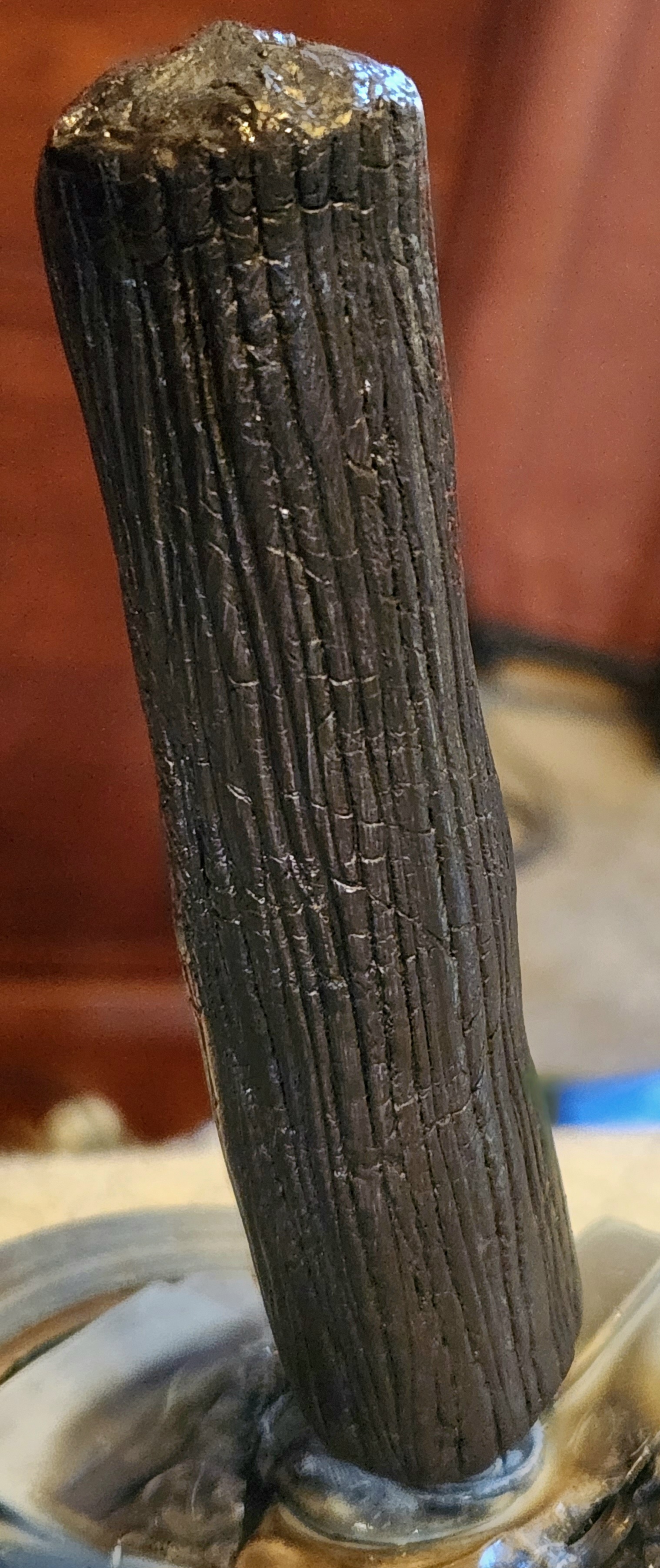20231005_175032.jpg