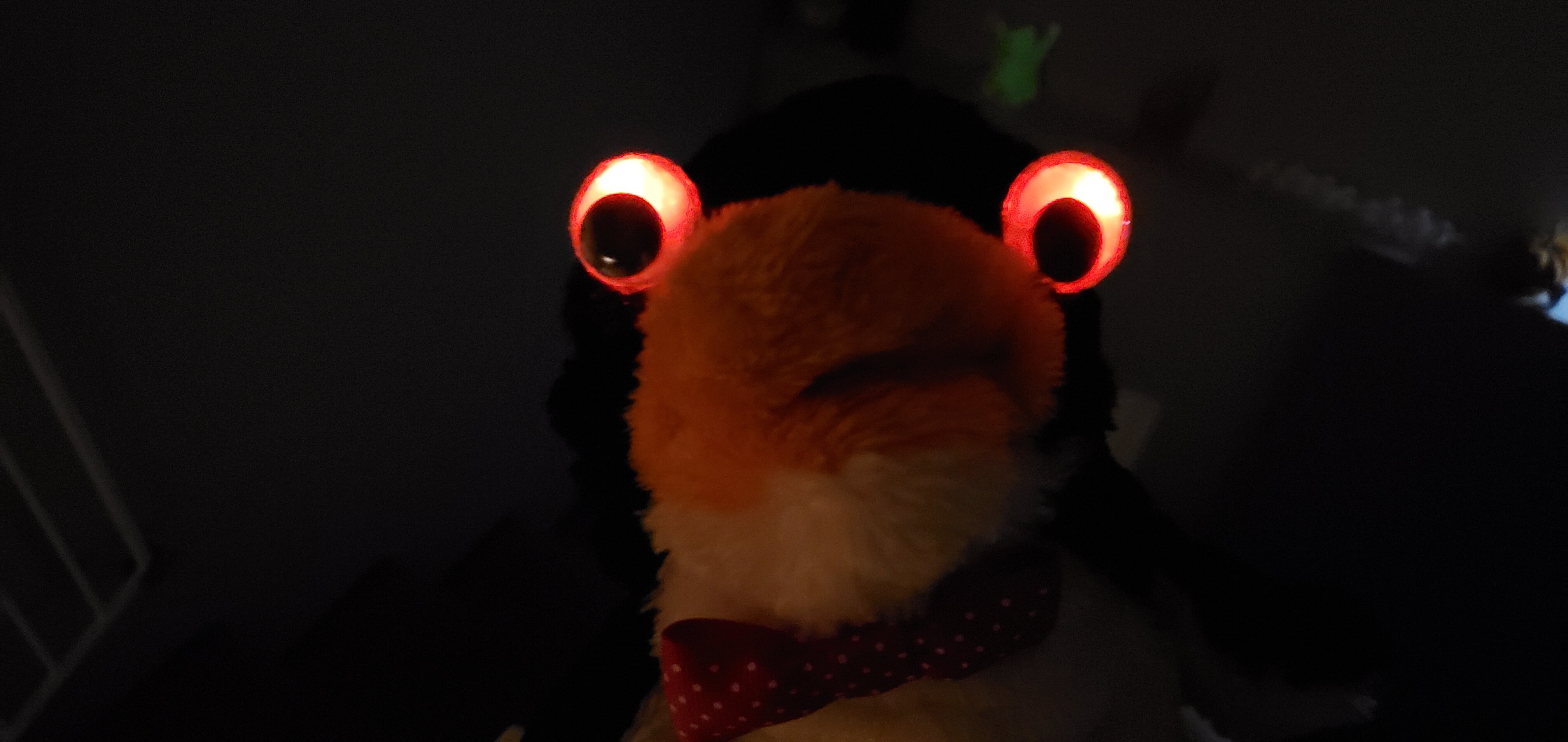 20231125_201426.jpg