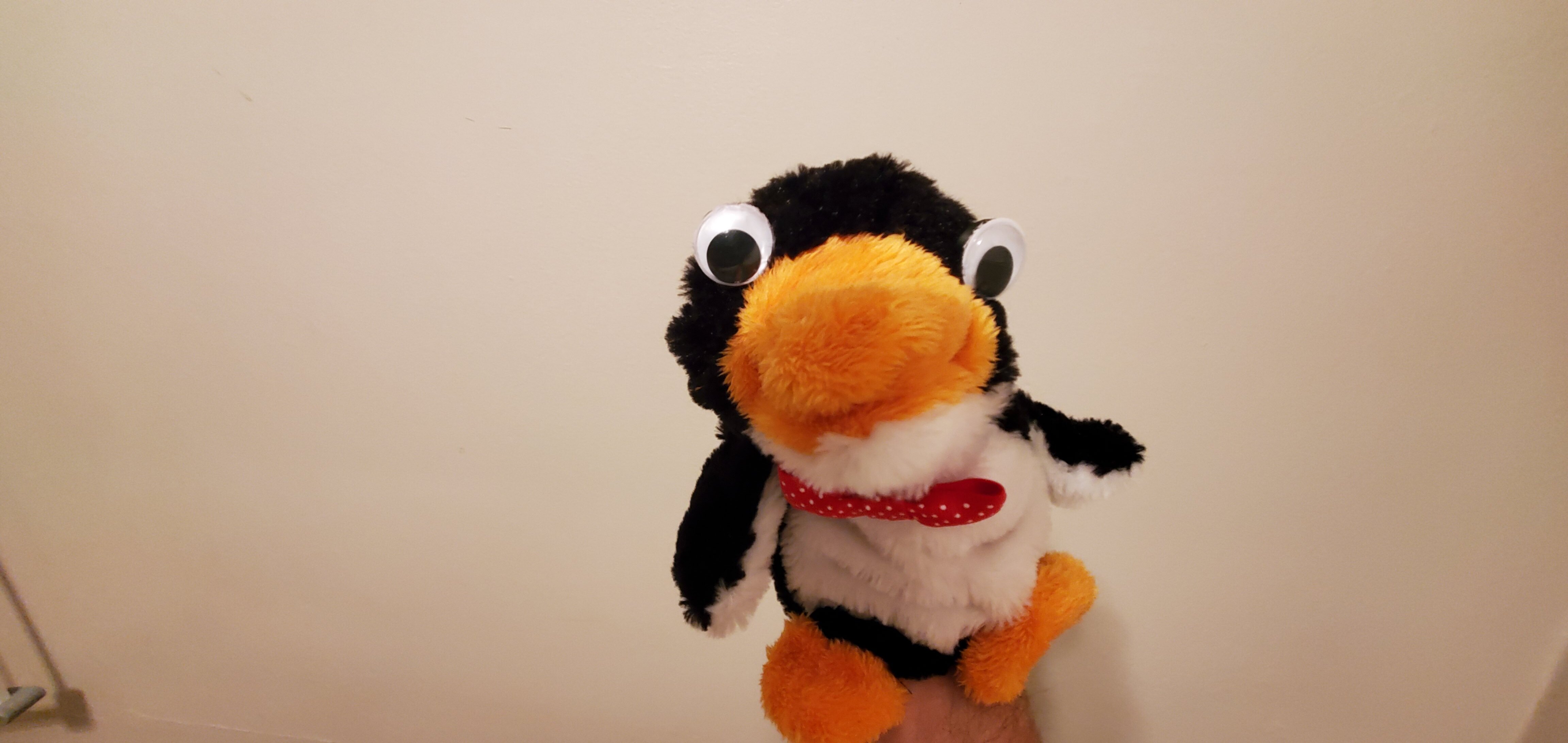 20231125_201531.jpg