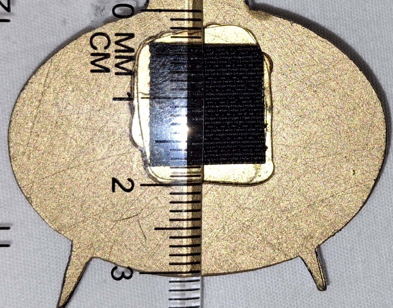 20240616_124003.jpg