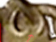 20250106_004210.jpg