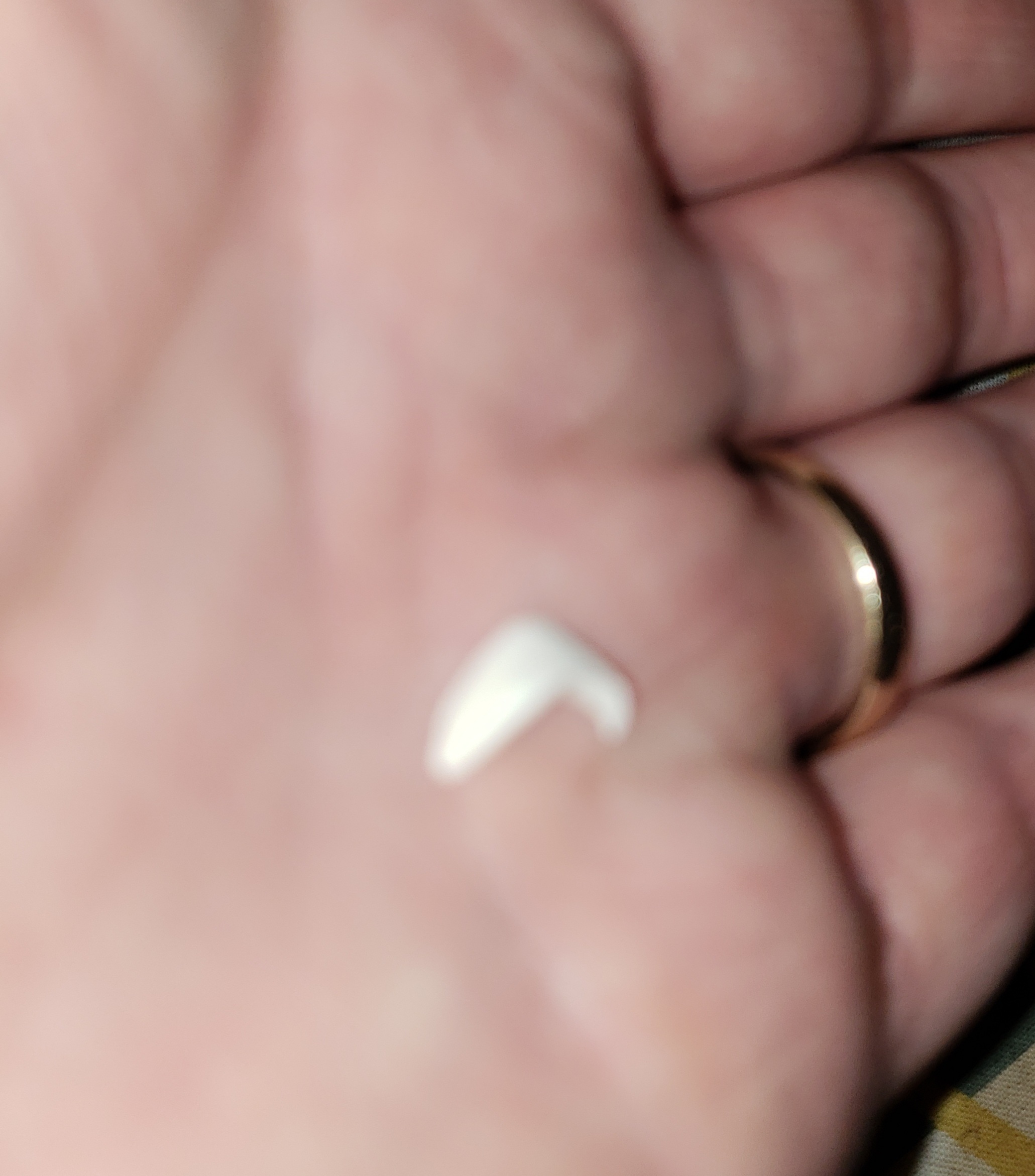20250119_032033.jpg