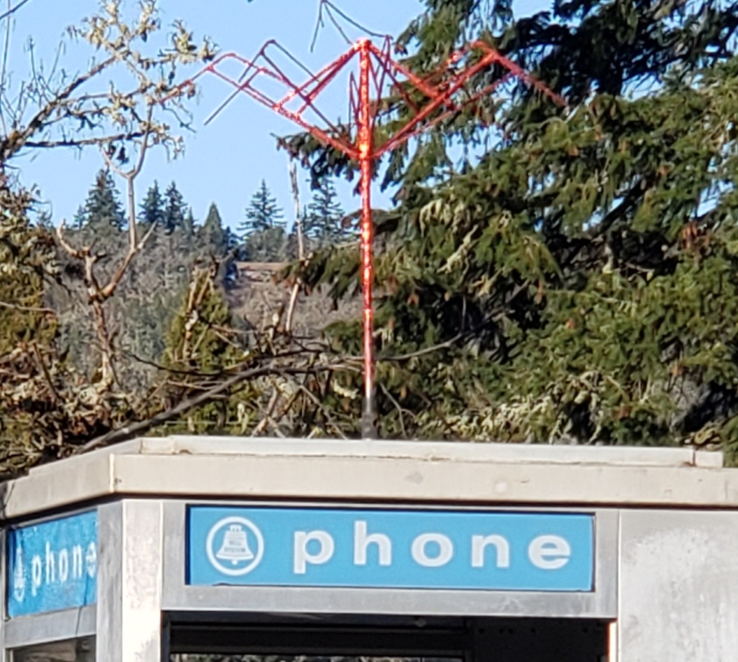 20250125_153122.jpg