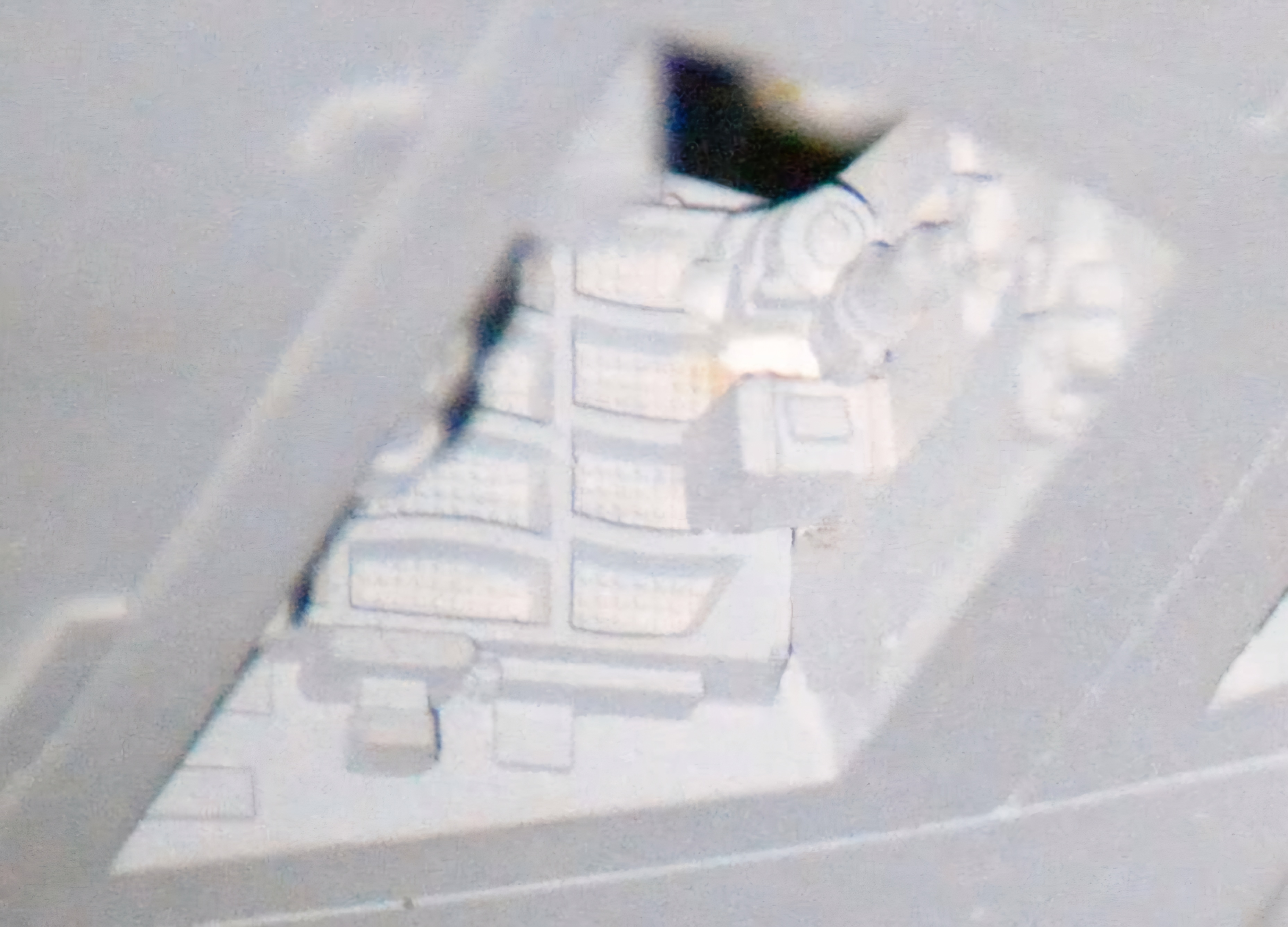 20250221_083224.jpg