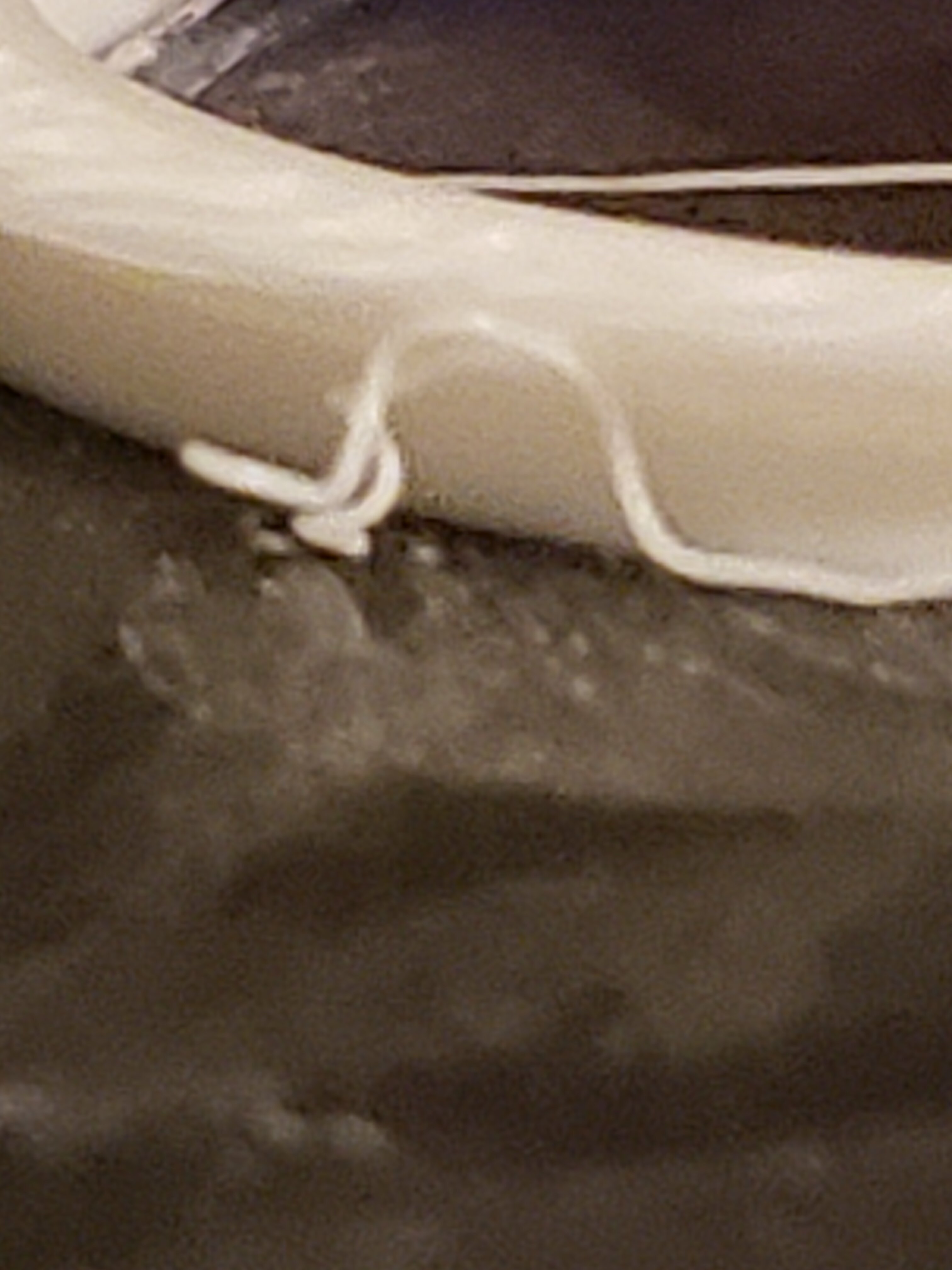 20250330_121424.jpg