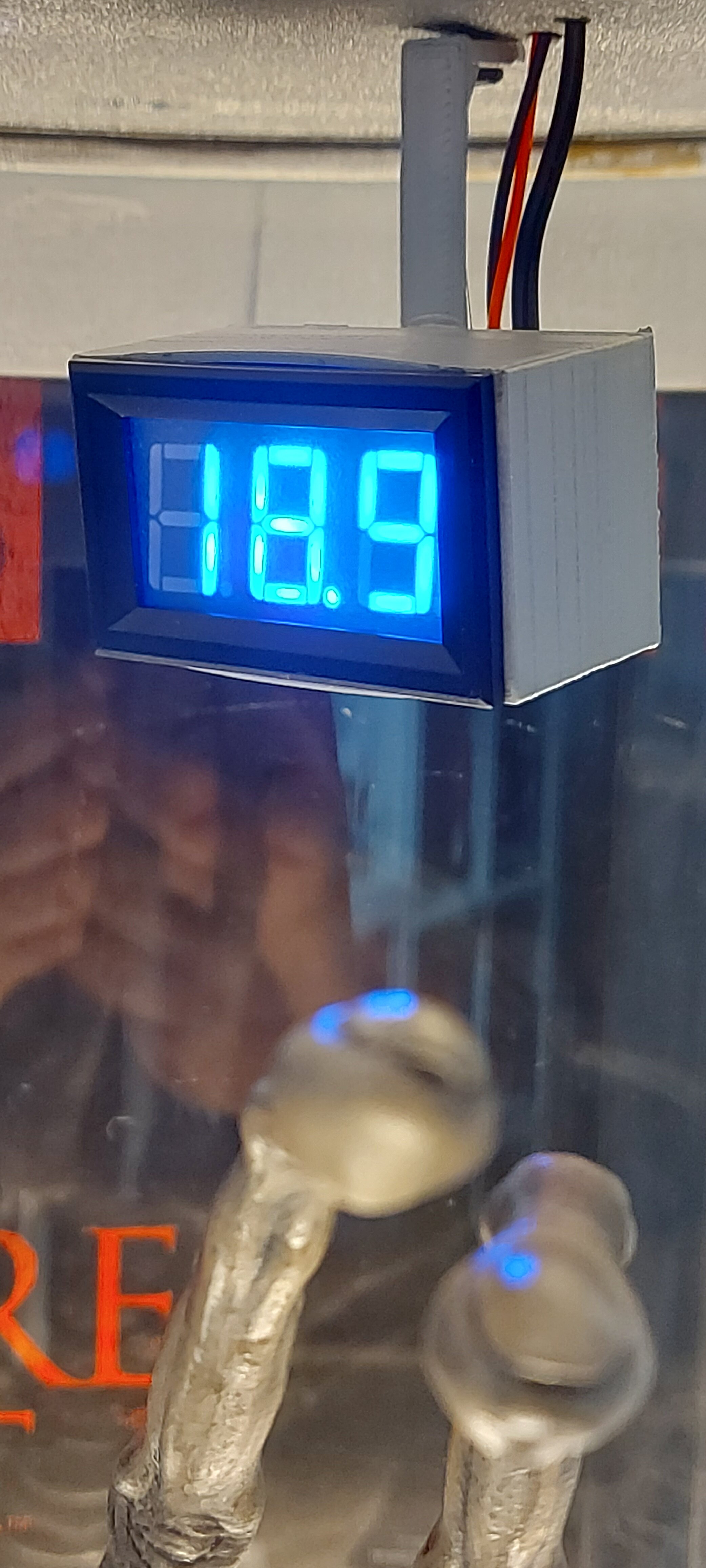 20250417_190402.jpg