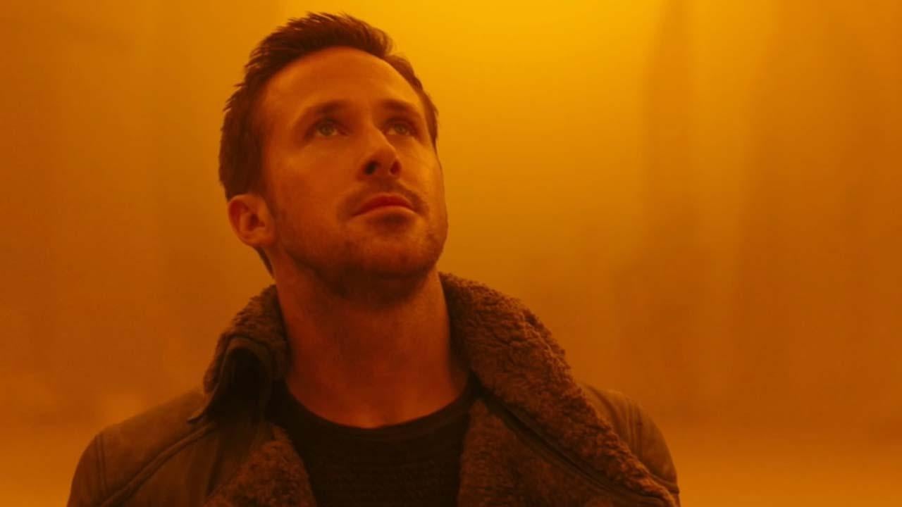 2049 collar.jpeg