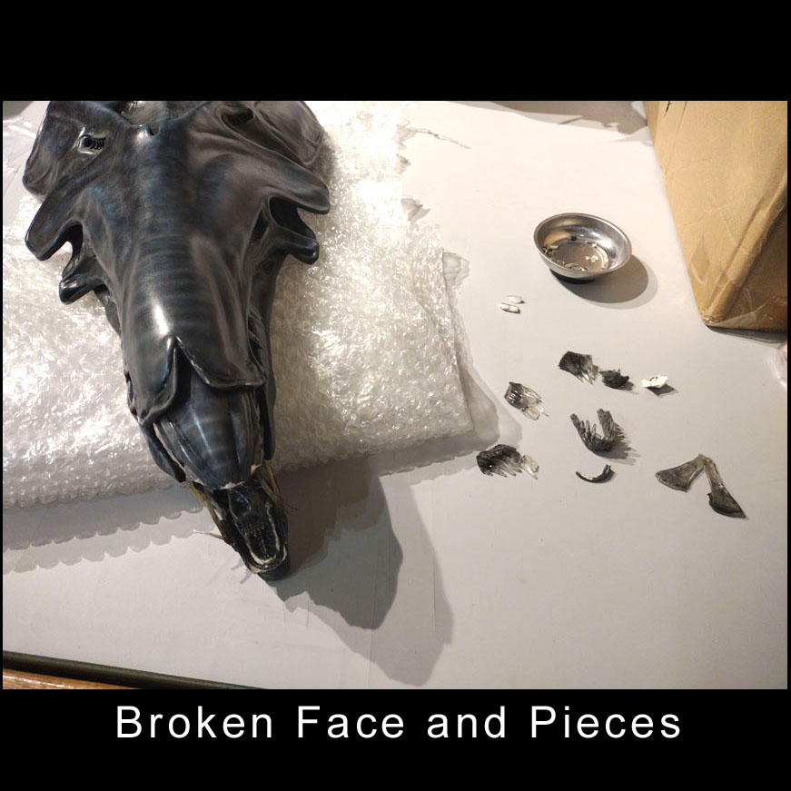 22,07-17to08-13, Aliens Queen face reconstruction (1).jpg