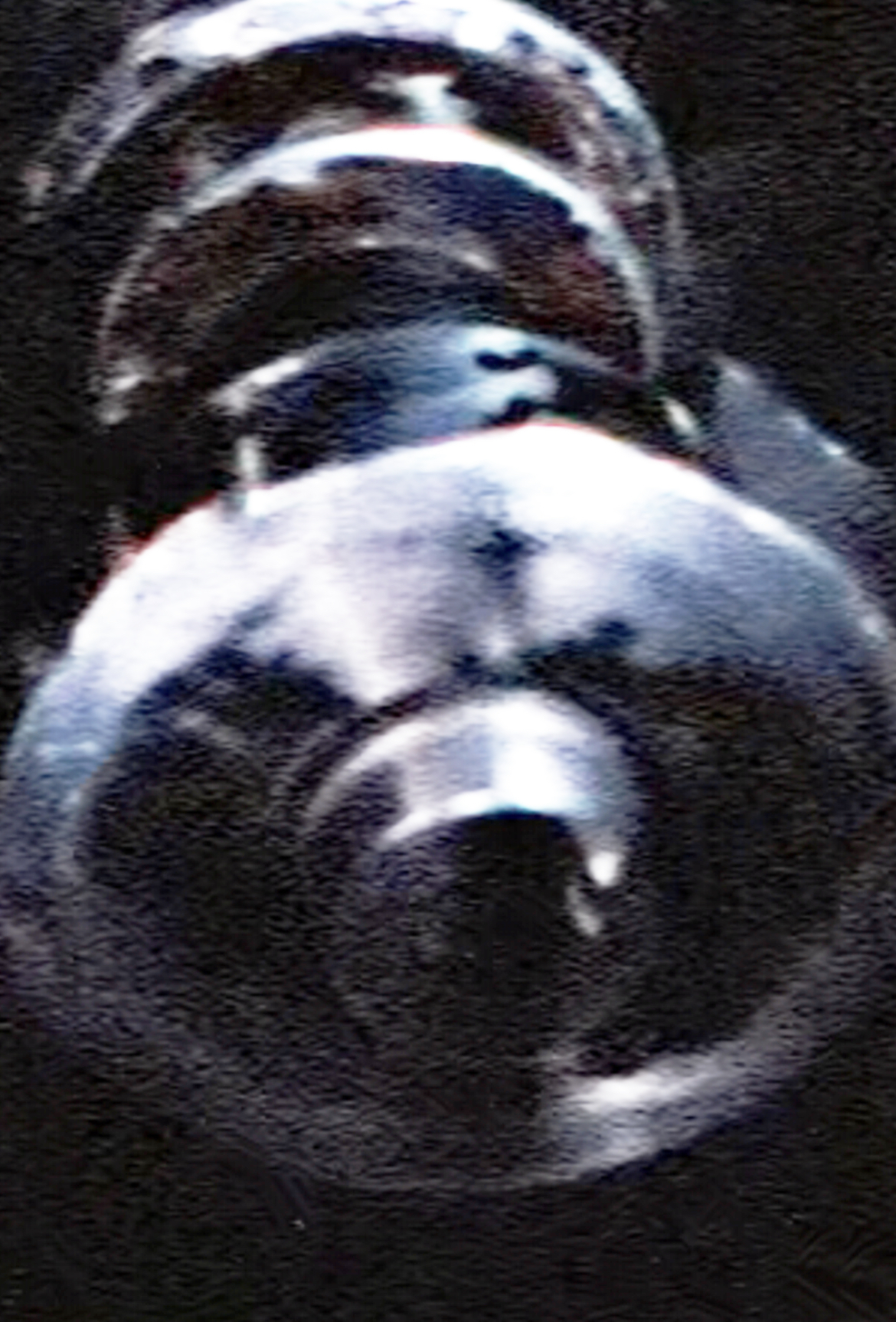 227C6A77-DD56-4F48-8B1E-7630D5D2CC60.jpeg