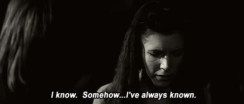 232493_original.gif