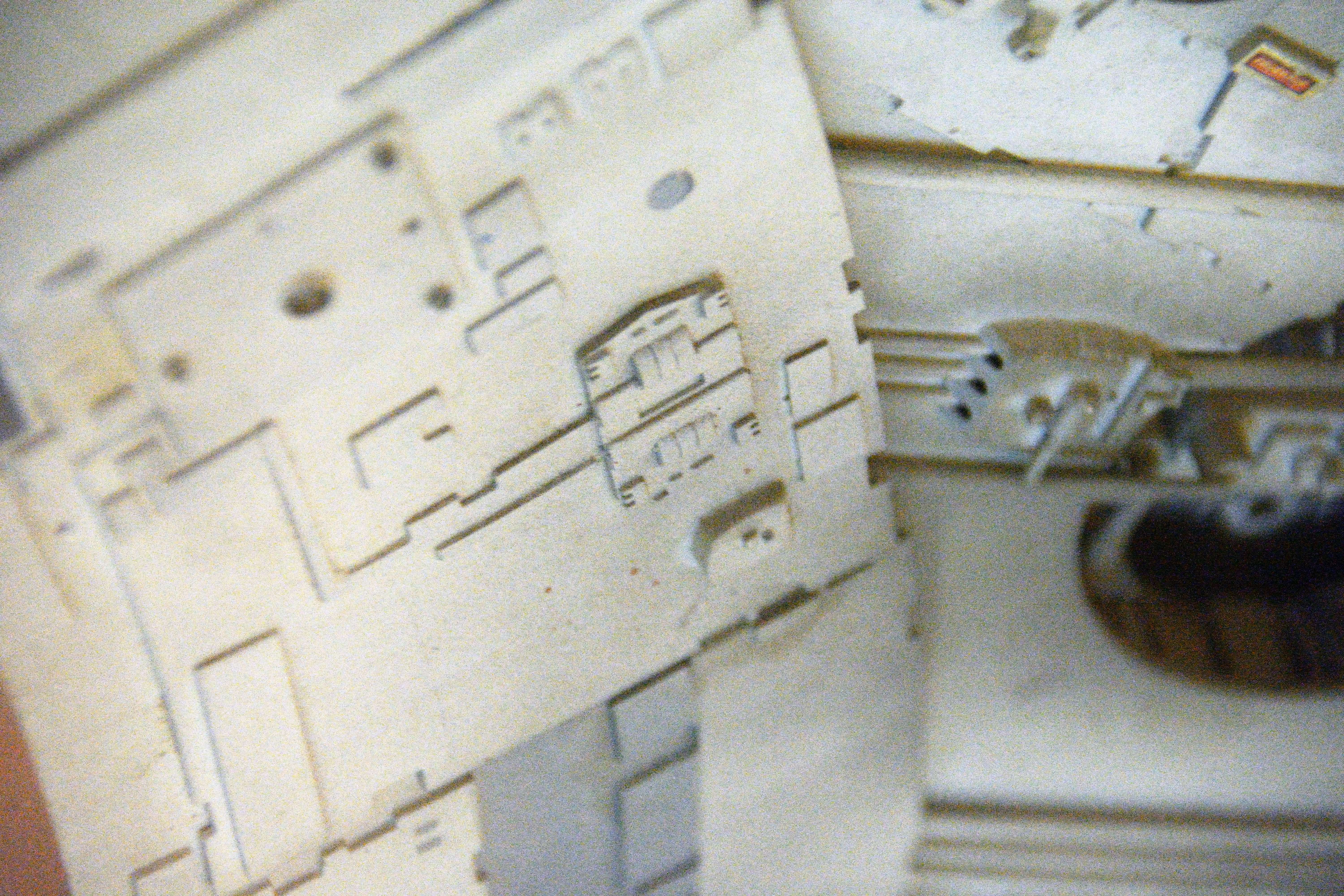 2337_SWI_9850.jpg