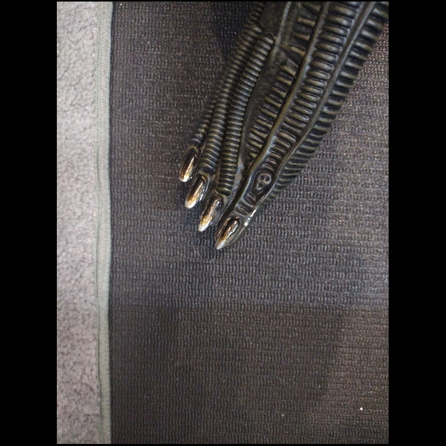 25,04-06 (12) drybrushing nails.jpg