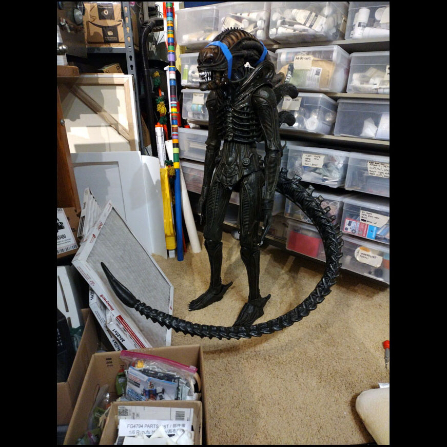 25,06-09 (2) magnet for tail.jpg