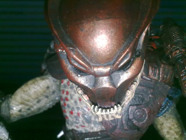 26072010058.jpg
