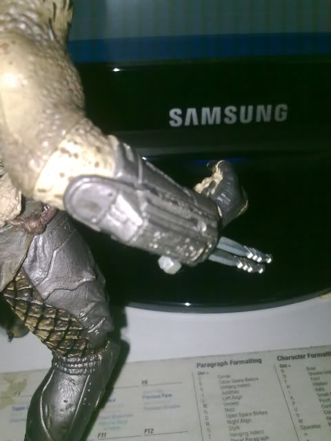 26072010086.jpg