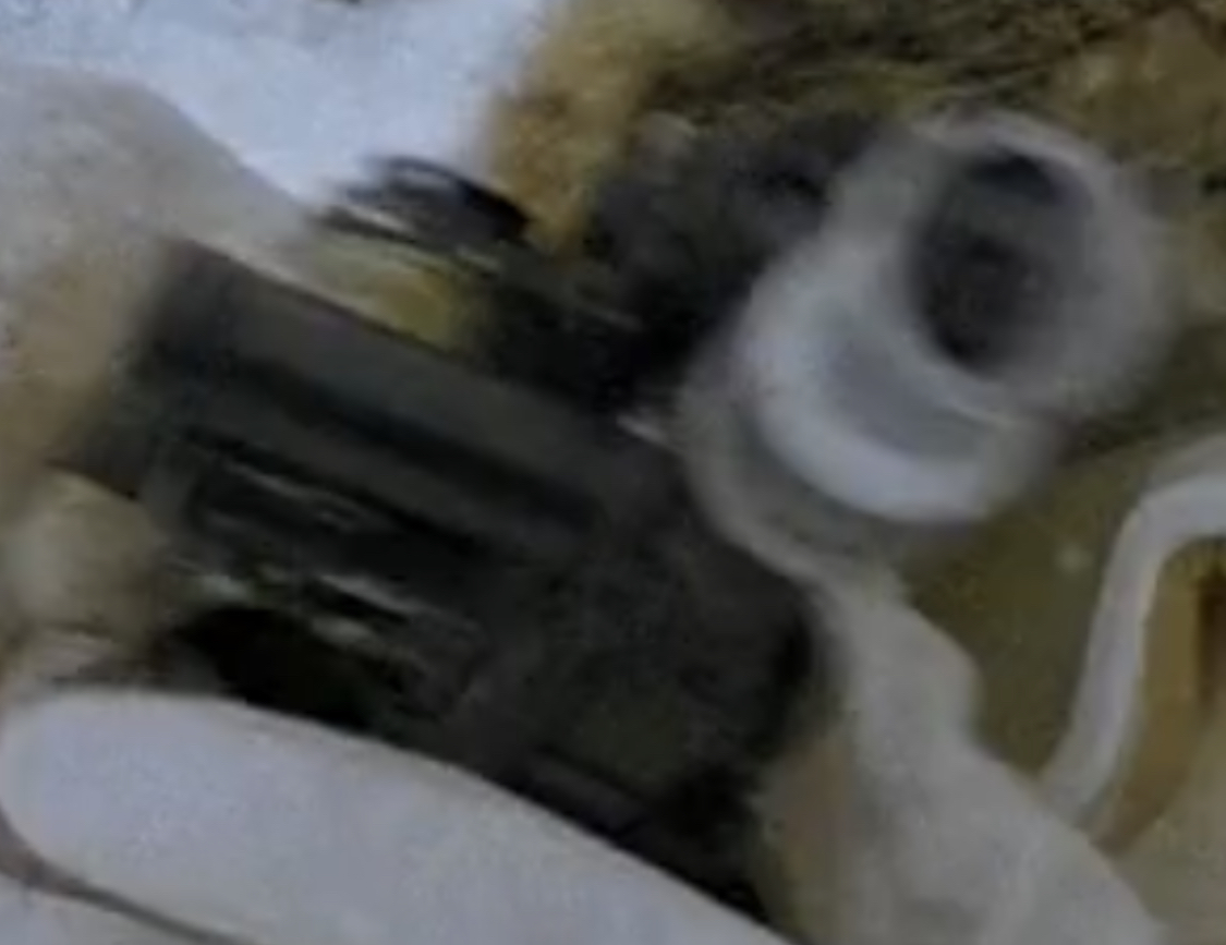 26A1D69D-1100-4256-BB0D-0FA07C26D795.jpeg