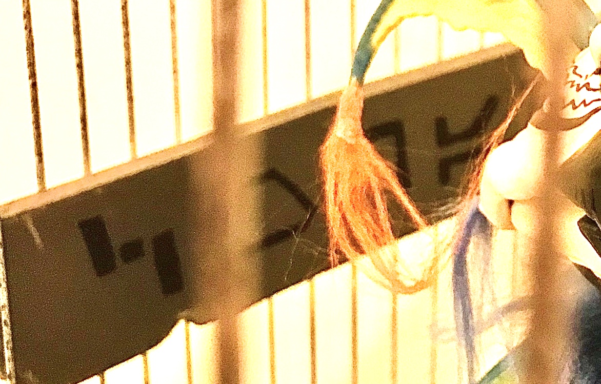 28726B43-659D-42A0-97FF-F036053071AB.jpeg