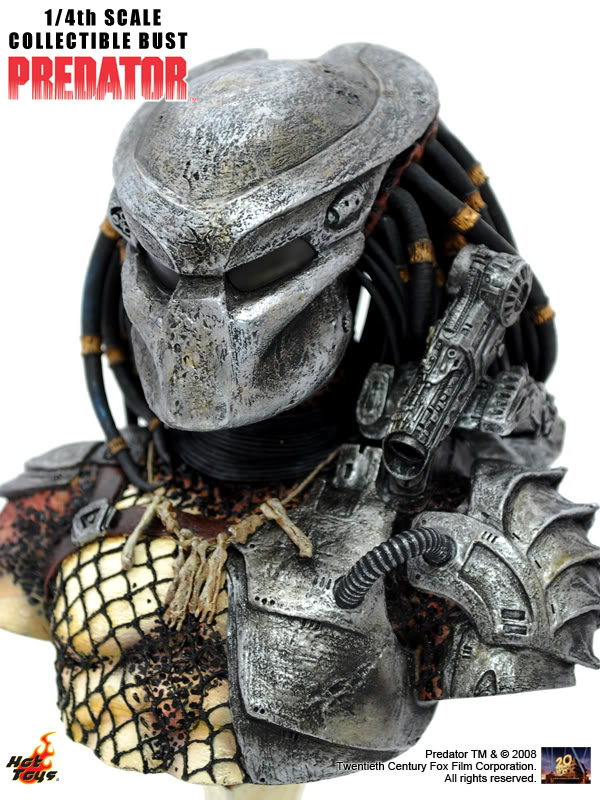 2PredatorBust.jpg