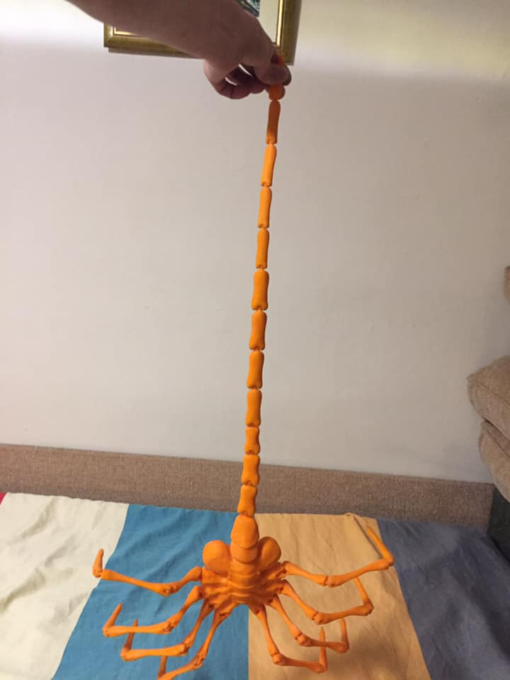 328935597_156932353503369_2759251016385571889_n_jpg.jpg