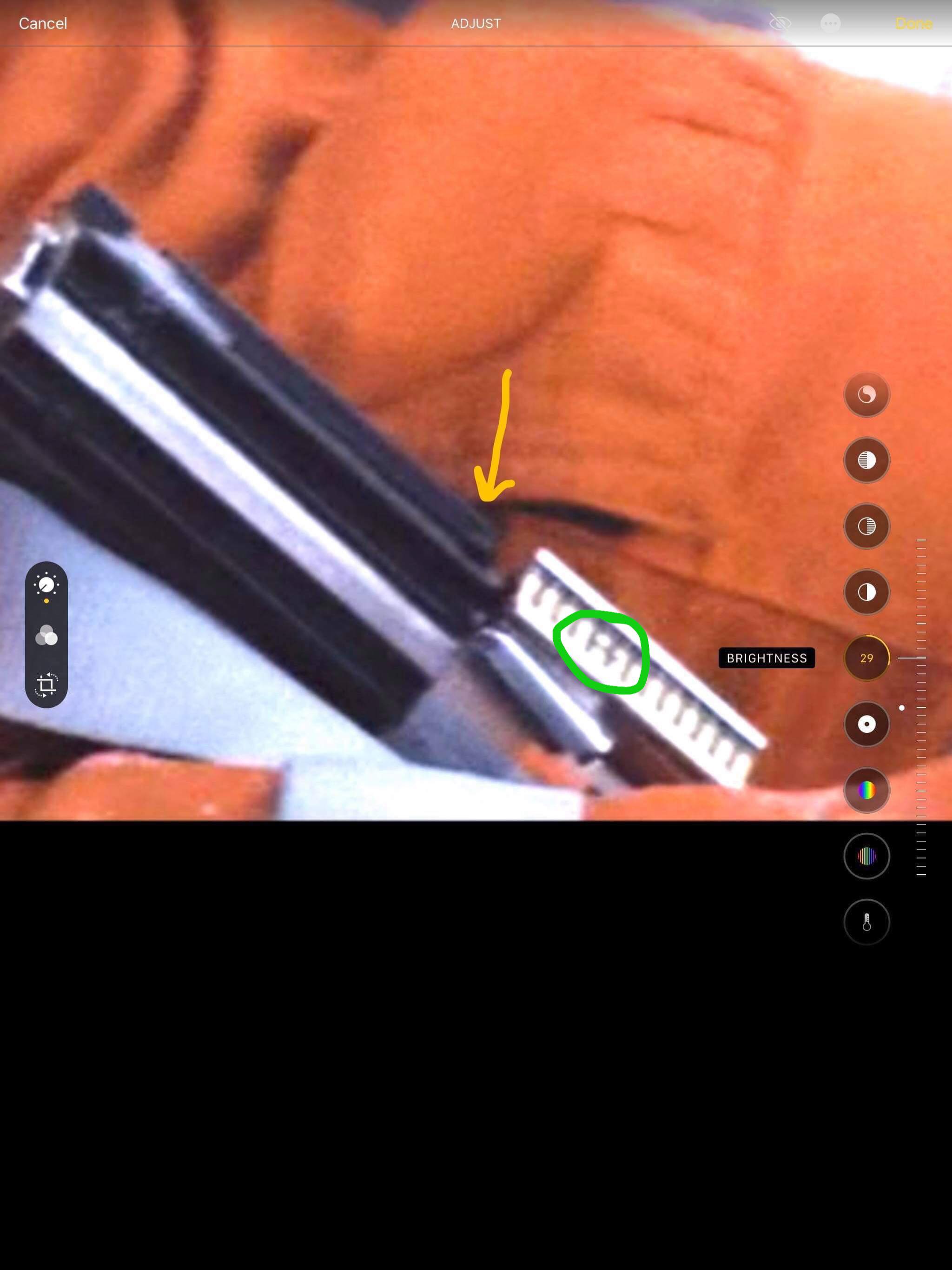 336602876_682106507047362_8996928971666778269_n.jpg