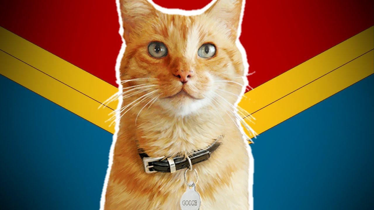 Captain marvel cat collar clearance