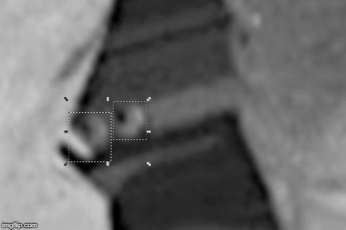 3cz8y6.gif