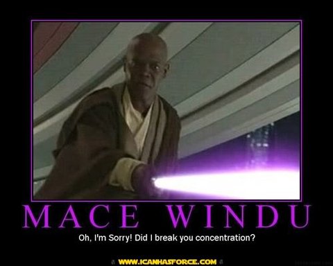 40021787563_3711666128_o.jpg
