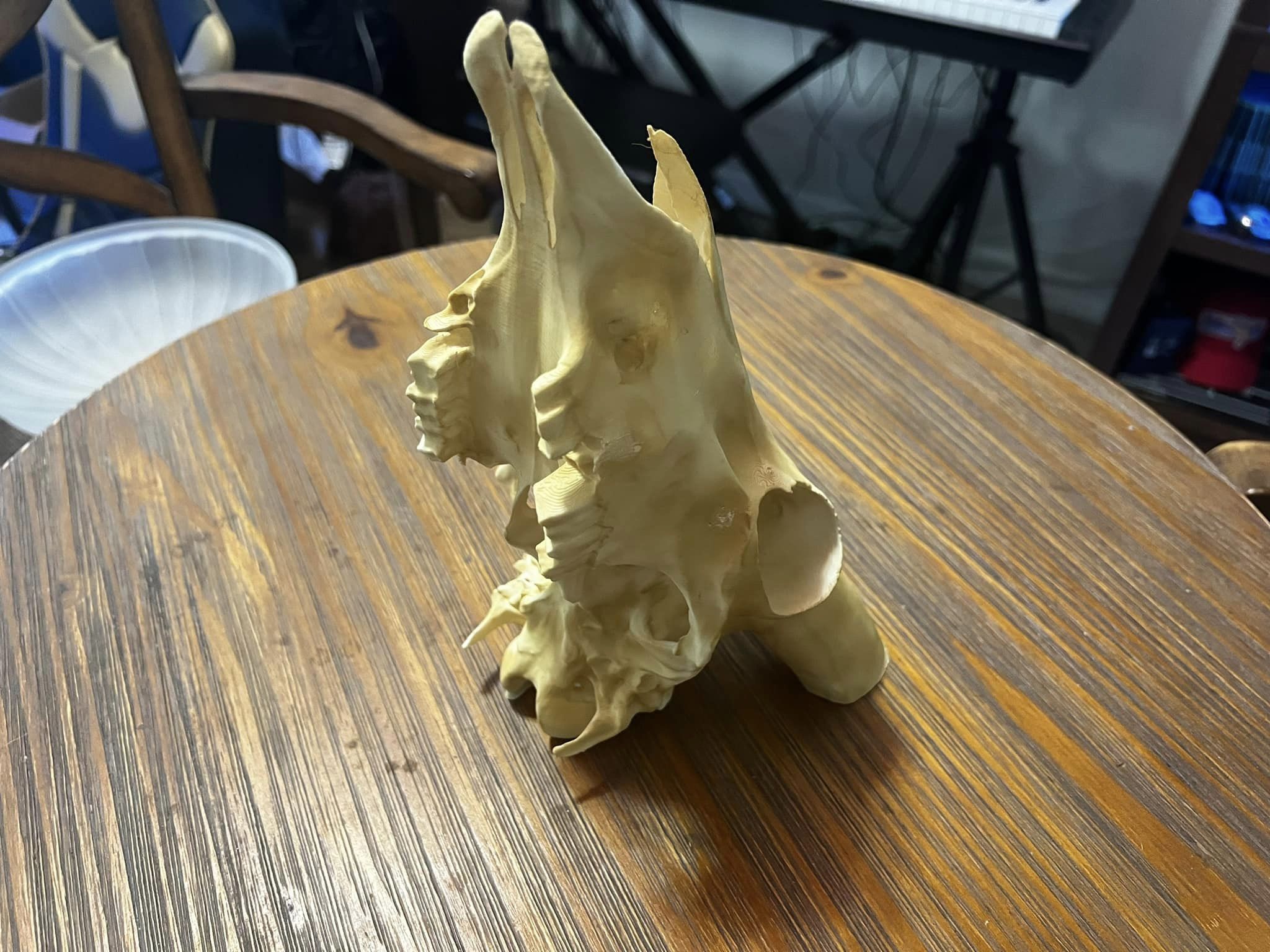 432940146_10161526535442342_663617456365377005_n.jpg