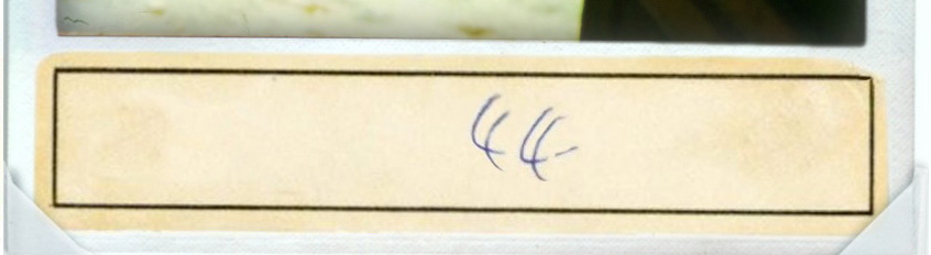 44.jpg