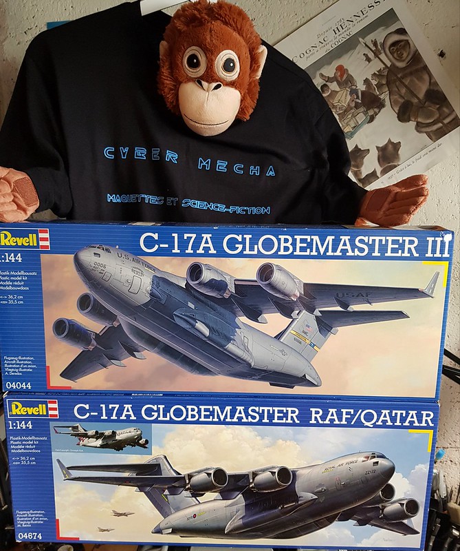 48029023721_aa18651a31_c.jpg