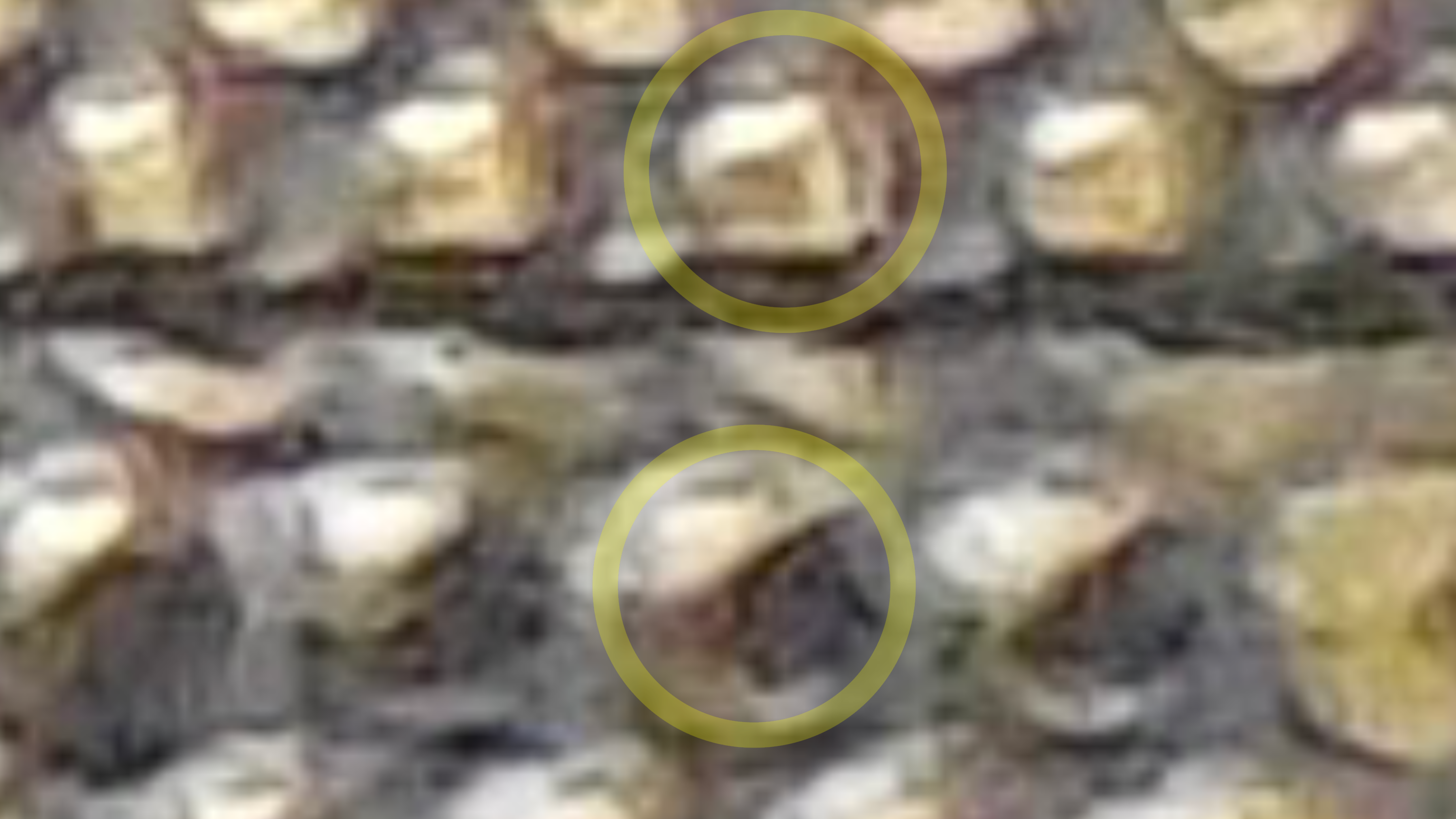 483A39E4-3EAE-4FA7-81D9-6135BC0E8A9F.png