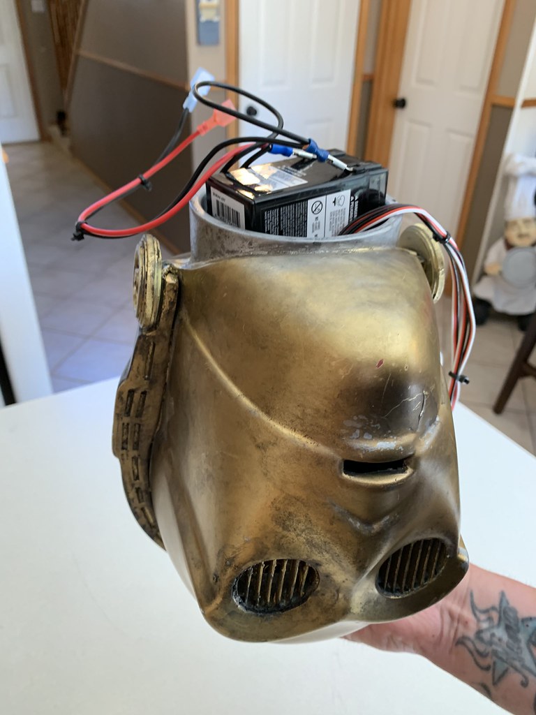 48776417413_4544c3d643_b.jpg