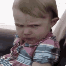49595.gif
