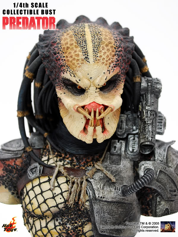 4PredatorBust.jpg