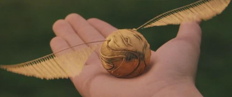 Golden Snitch wings (Harry Potter)  Harry potter golden snitch, Golden  snitch, Harry potter costume