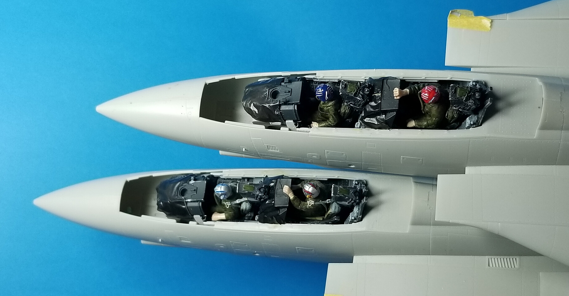 51427727514_11f15f4d54_k.jpg