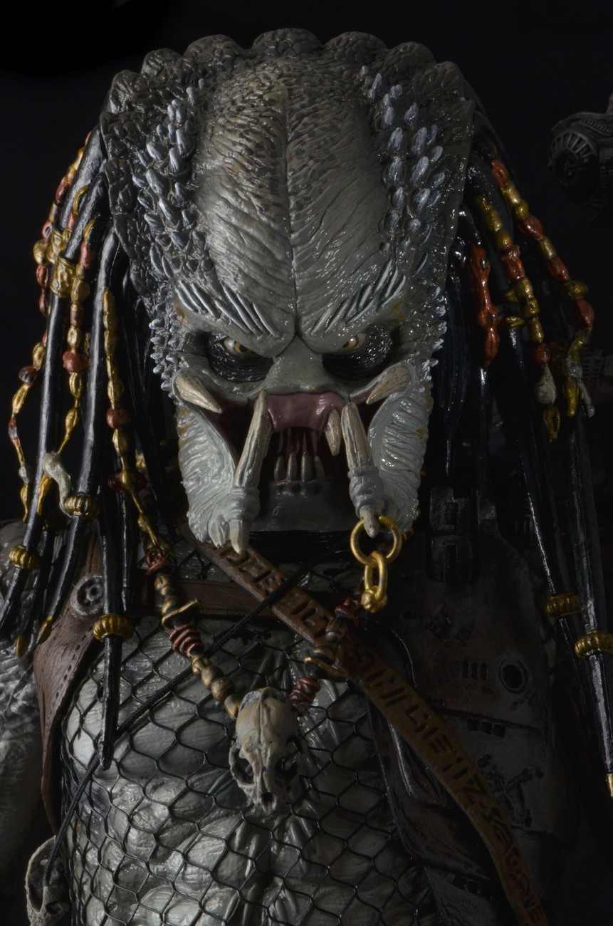 51492-Predator-Elder-3.jpeg