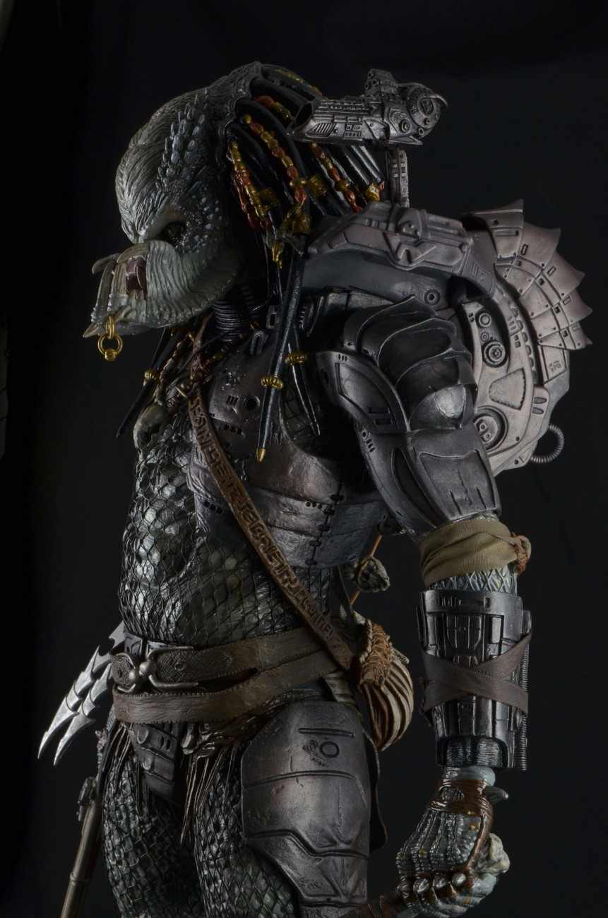 51492-Predator-Elder-4.jpeg