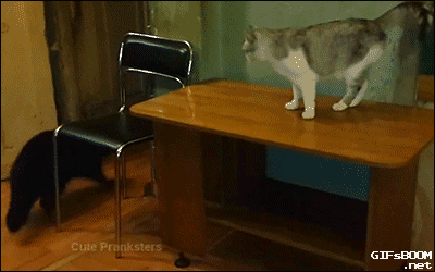 59696AE0-EADF-45BC-84B9-45F5D67ACBED_zpsdfo79fhw.gif