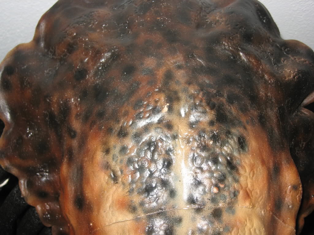 6-18-07002.jpg