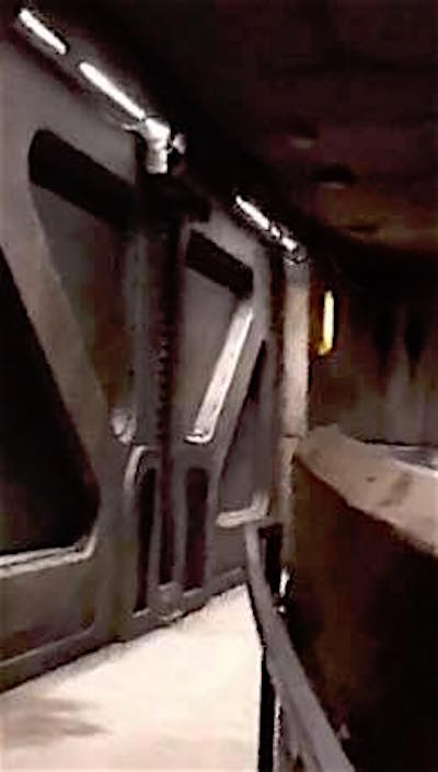 61287843_470261613780385_8178493840487874560_n.jpg