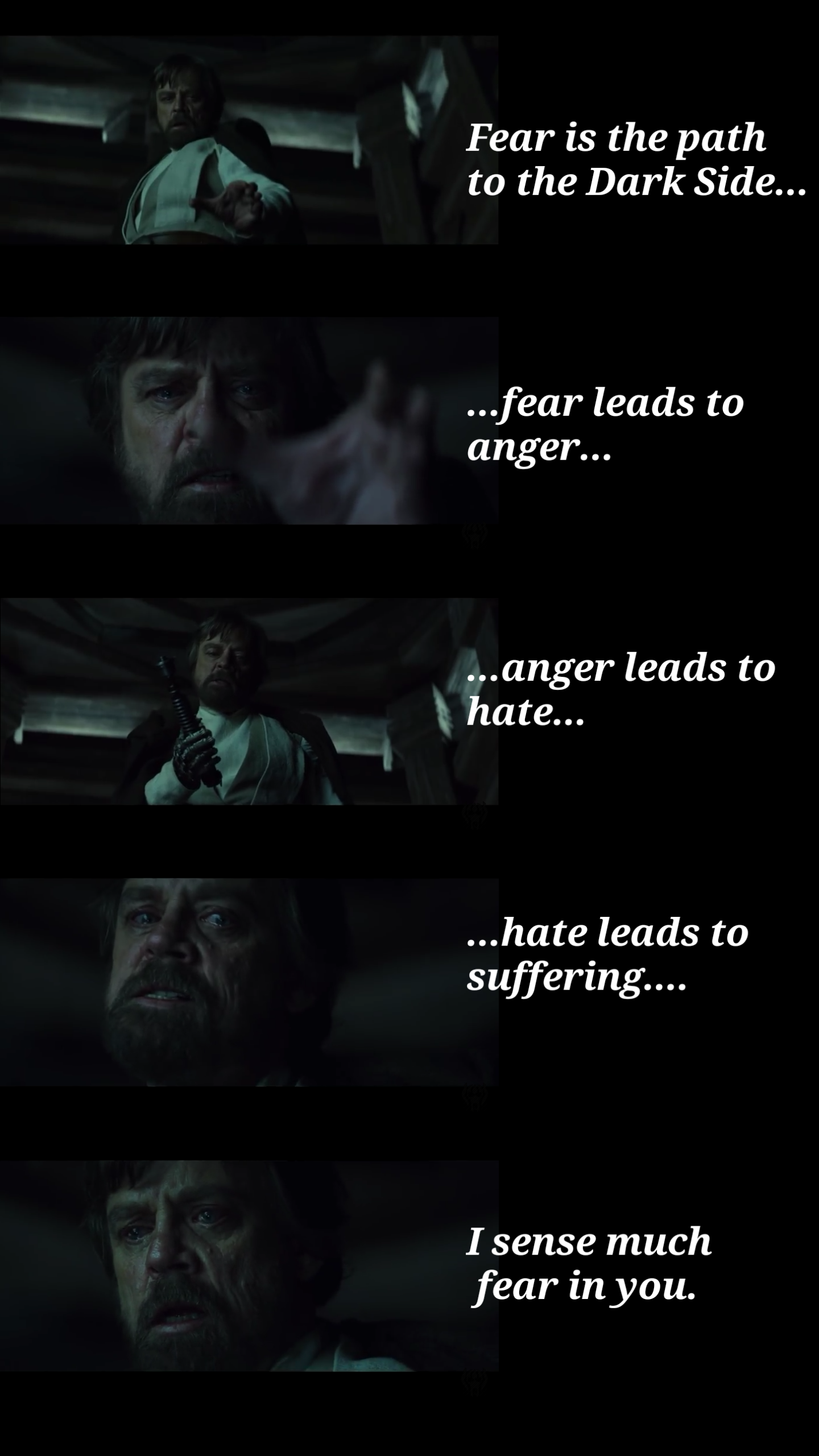 630d36f1-1a62-49fe-8a00-671b408415ba.png