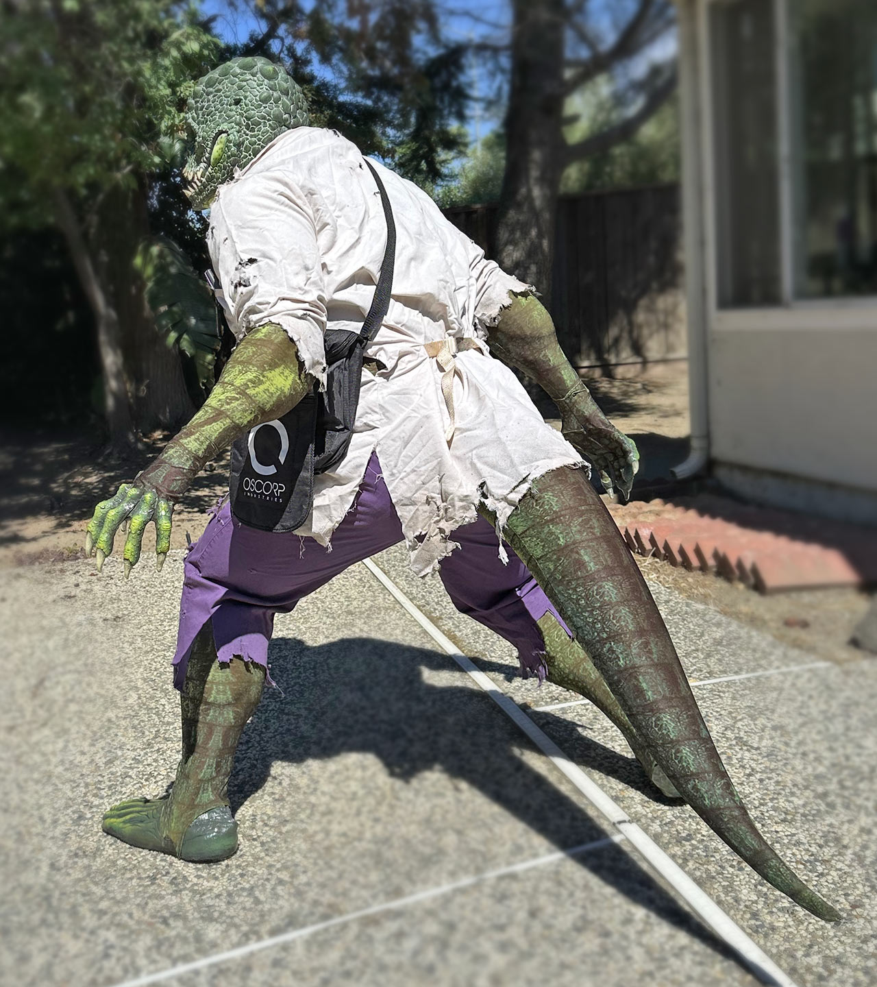 6b-lizard.jpg