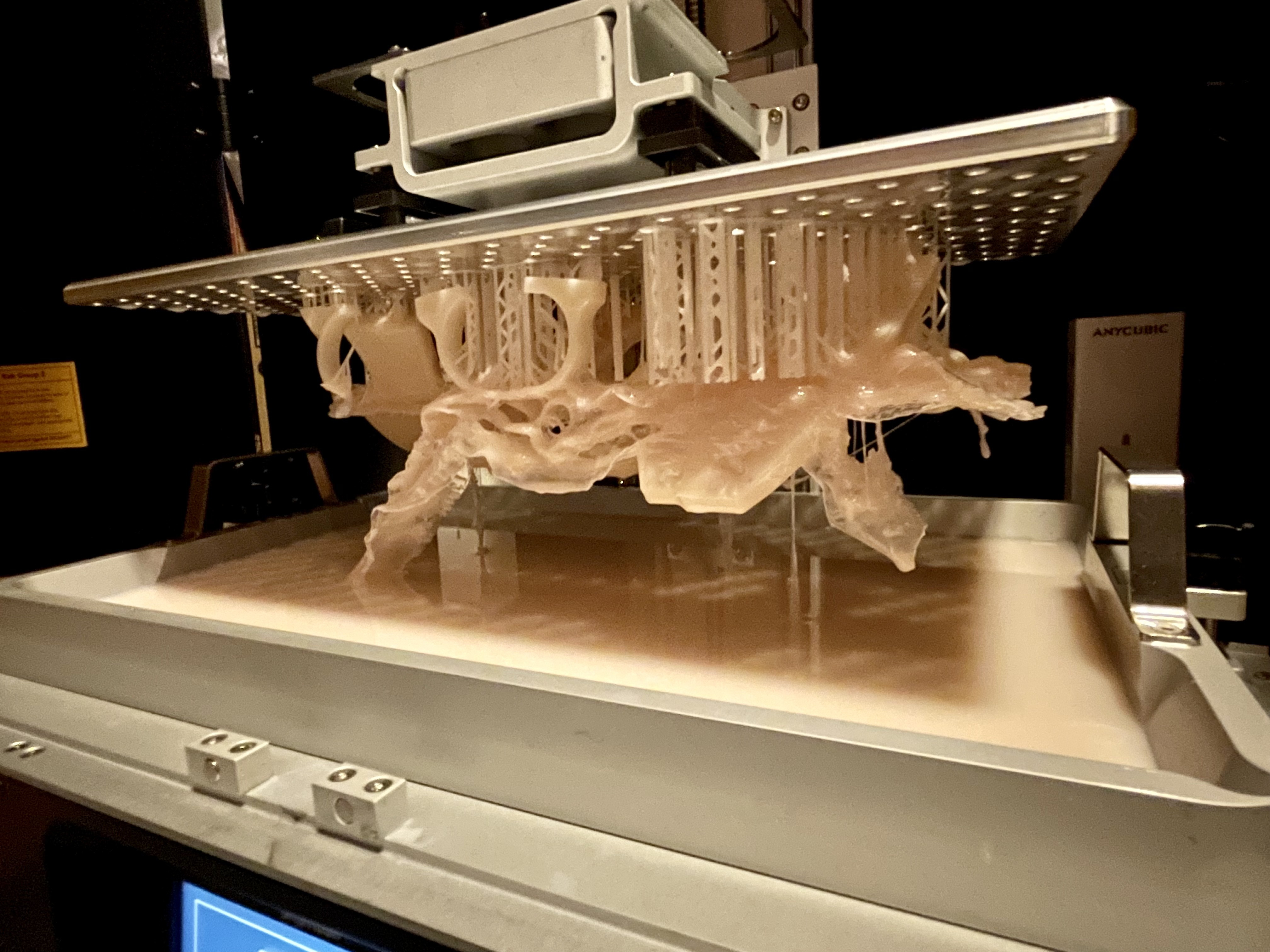 6DF92990-20A4-4A59-A03D-786CFAA4890E.jpeg