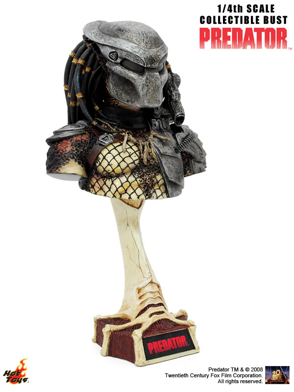 6PredatorBust.jpg