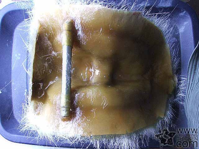 74-fiberglass.jpg