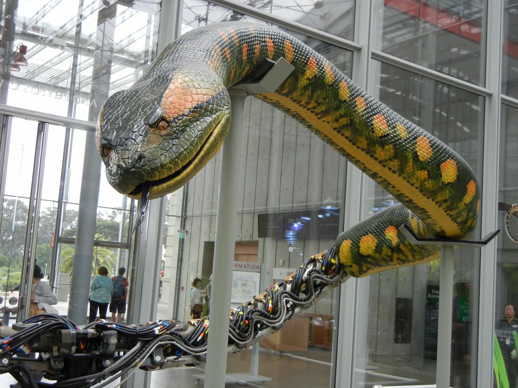 Wondering If Anyone Has Ever Done A Replica of the Anaconda From The
